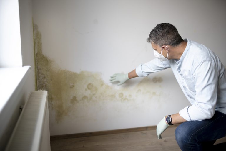 damp and mould prevention peterborough